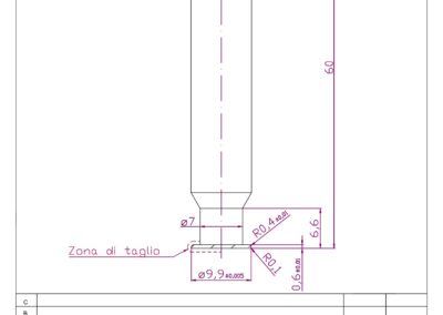 Disegno Speciale